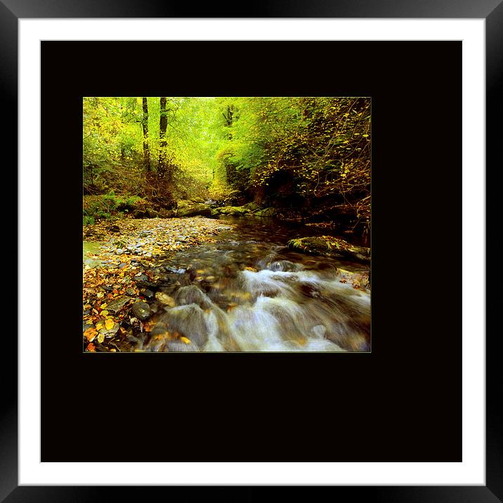 From Green To Gold Framed Mounted Print by clint hudson