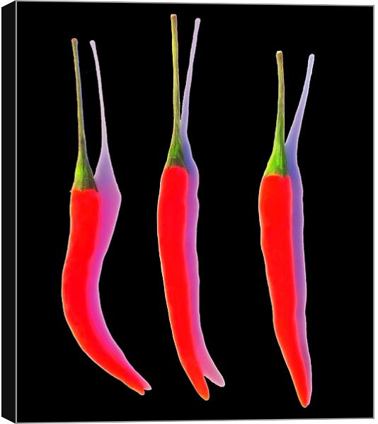 Red Hot Chili Pepper Canvas Print by Scott Anderson