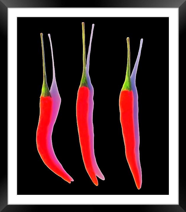 Red Hot Chili Pepper Framed Mounted Print by Scott Anderson