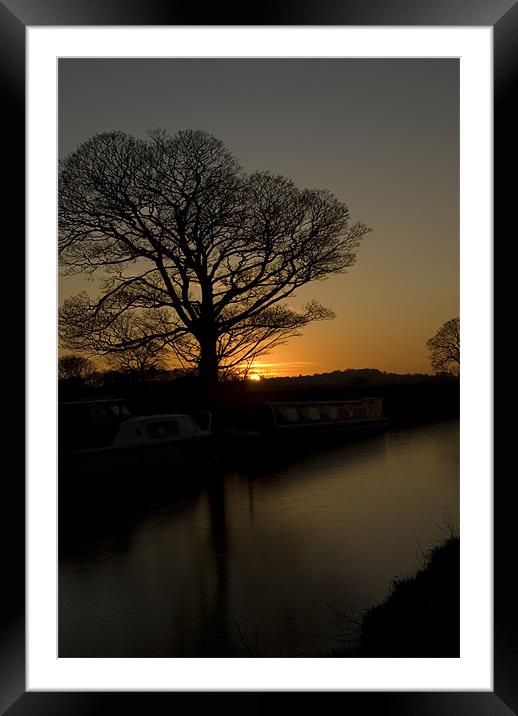 Sycamore Sunset - Series II Framed Mounted Print by James Lavott