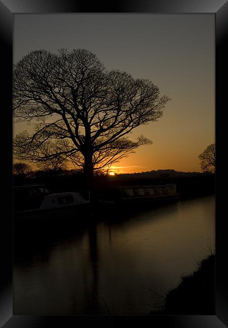 Sycamore Sunset - Series II Framed Print by James Lavott
