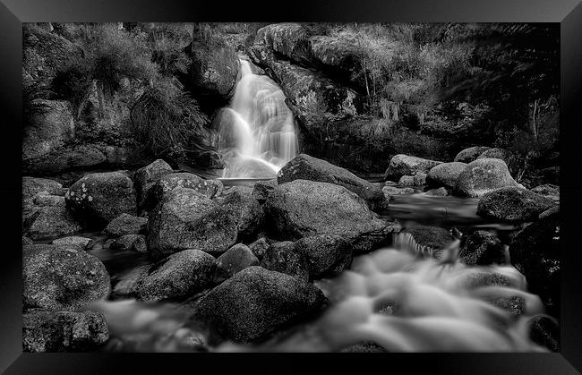 Bathed in Black Framed Print by Mark Lucey