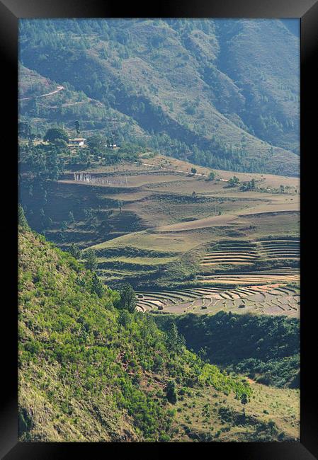 Terraces in the High Valleys, Bhutan Framed Print by Carole-Anne Fooks