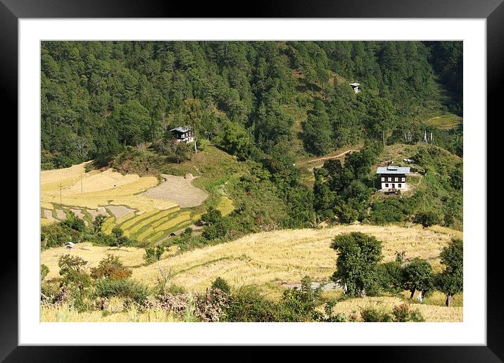 Terraces in the High Valleys, Bhutan Framed Mounted Print by Carole-Anne Fooks