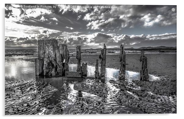 Groynes on Seamill Beach Monochrome Acrylic by Tylie Duff Photo Art
