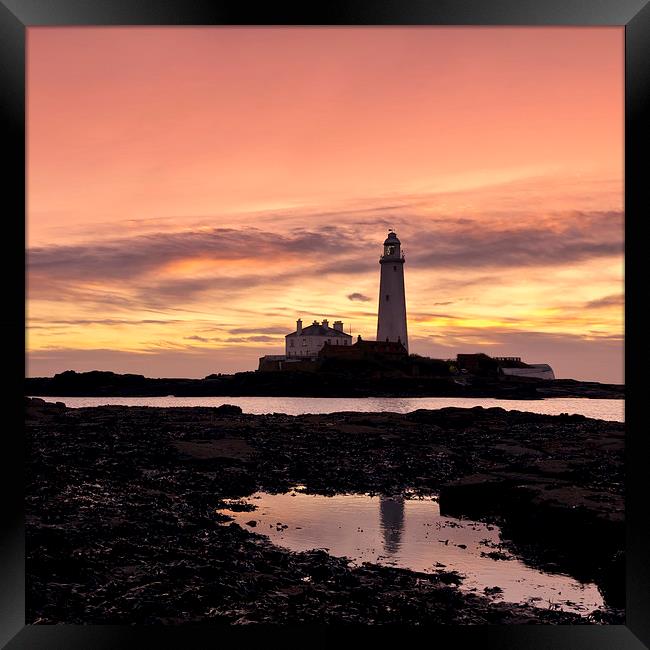 St Mary`s Lighthouse Framed Print by Northeast Images