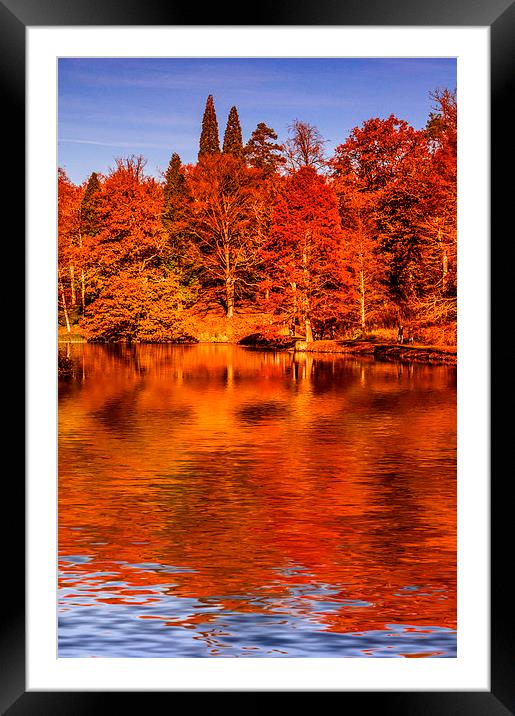 Autumnal Colours Framed Mounted Print by Scott Anderson