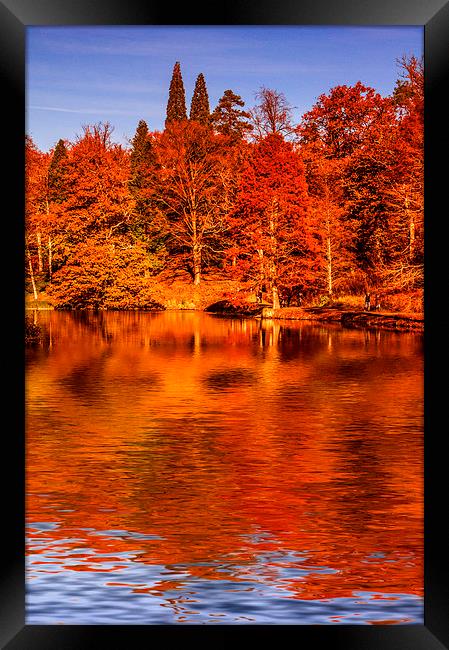 Autumnal Colours Framed Print by Scott Anderson