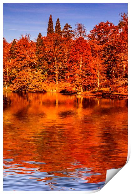 Autumnal Colours Print by Scott Anderson