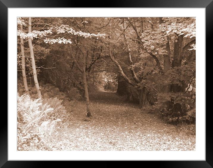 A leafy autumn lane Framed Mounted Print by Bill Lighterness