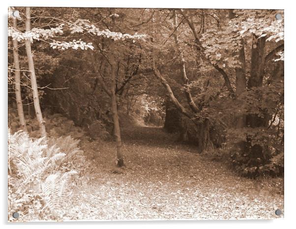 A leafy autumn lane Acrylic by Bill Lighterness