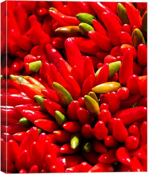 Red Hot Chilli Peppers Canvas Print by Steve Hughes