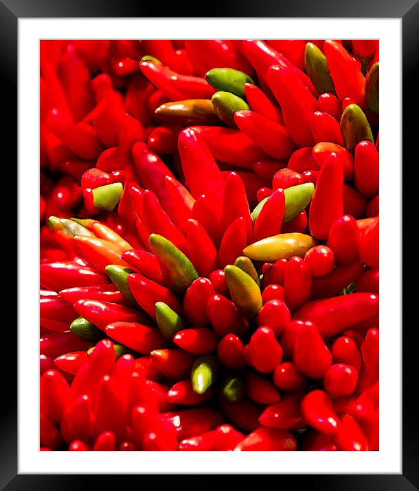 Red Hot Chilli Peppers Framed Mounted Print by Steve Hughes