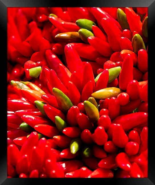 Red Hot Chilli Peppers Framed Print by Steve Hughes