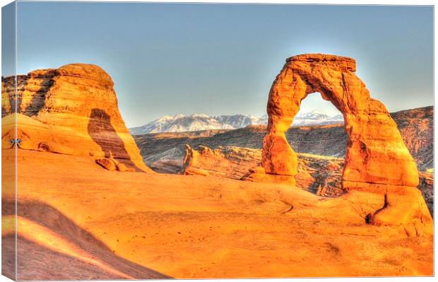 Delicate Arch Arches NP USA Canvas Print by Gurinder Punn