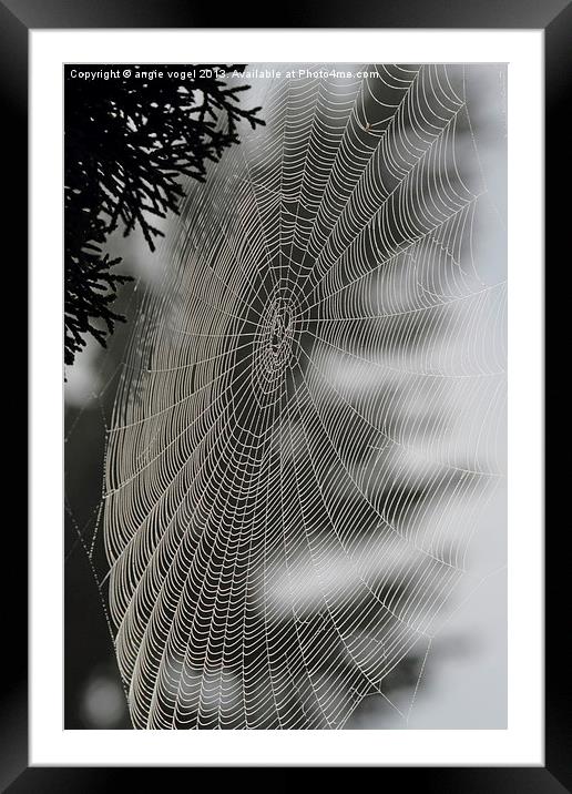 Spider Web Framed Mounted Print by angie vogel