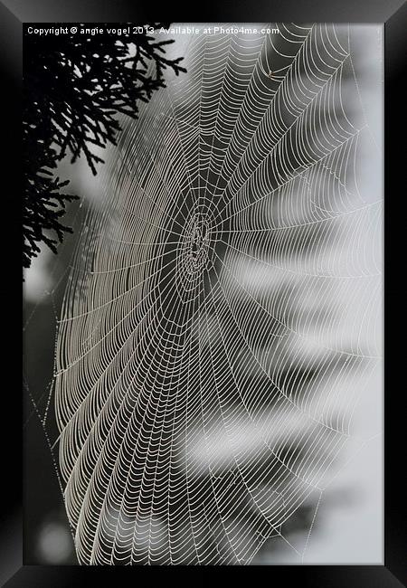 Spider Web Framed Print by angie vogel