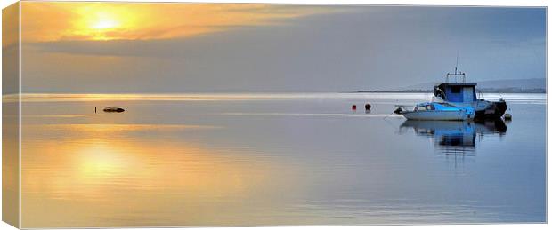 Loughor estuary boats Canvas Print by Leighton Collins