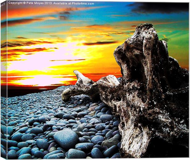 Driftwood in the Sunset#1 Canvas Print by Pete Moyes