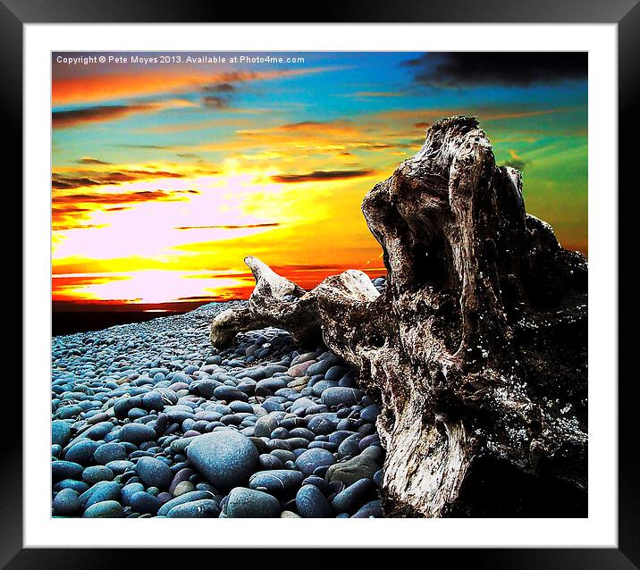 Driftwood in the Sunset#1 Framed Mounted Print by Pete Moyes