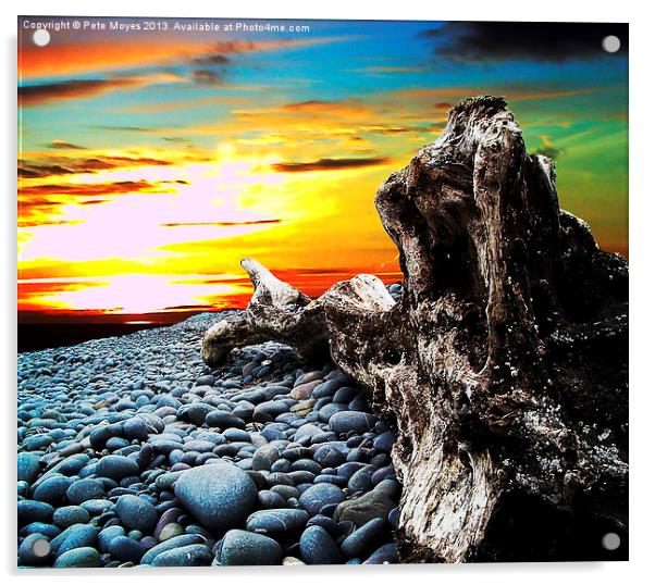 Driftwood in the Sunset#1 Acrylic by Pete Moyes