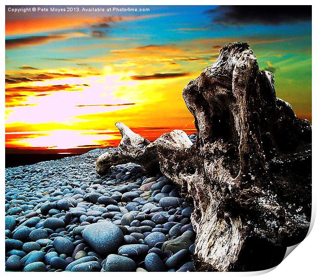 Driftwood in the Sunset#1 Print by Pete Moyes