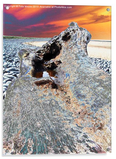 Driftwood in the Sunset#2 Acrylic by Pete Moyes