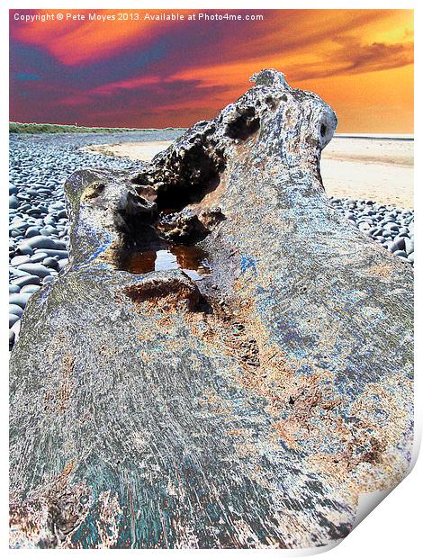 Driftwood in the Sunset#2 Print by Pete Moyes