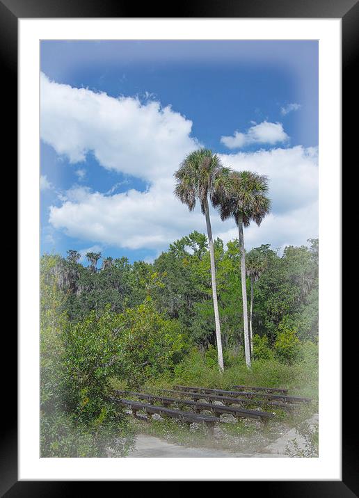 Benched a Rainbow Springs Campground Framed Mounted Print by Judy Hall-Folde