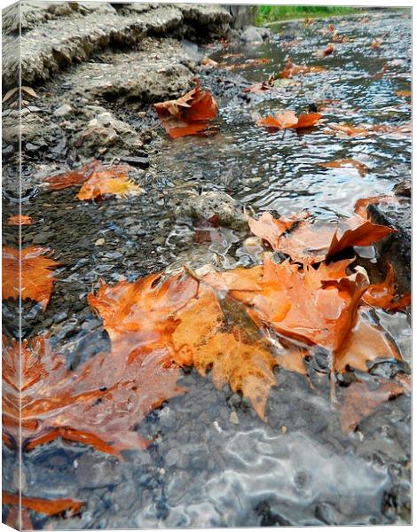 Autumn Leafs Canvas Print by Sapir Porat