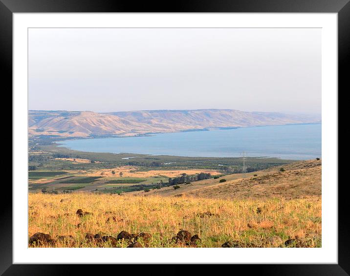 Sea of Galilee Framed Mounted Print by Sapir Porat