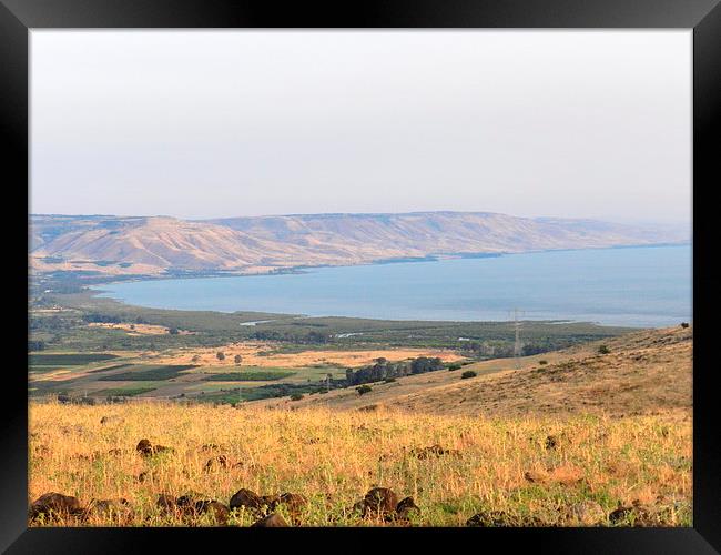 Sea of Galilee Framed Print by Sapir Porat