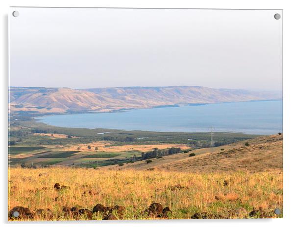 Sea of Galilee Acrylic by Sapir Porat