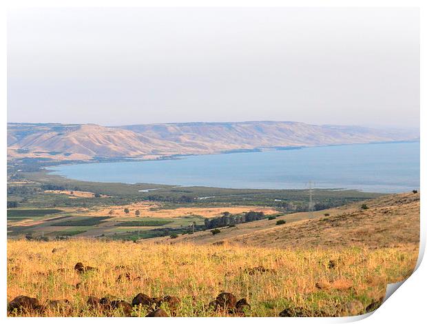 Sea of Galilee Print by Sapir Porat