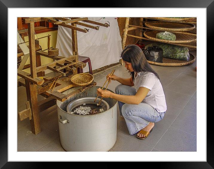 Making silk in Thailand Framed Mounted Print by colin chalkley