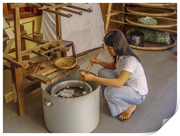 Making silk in Thailand Print by colin chalkley