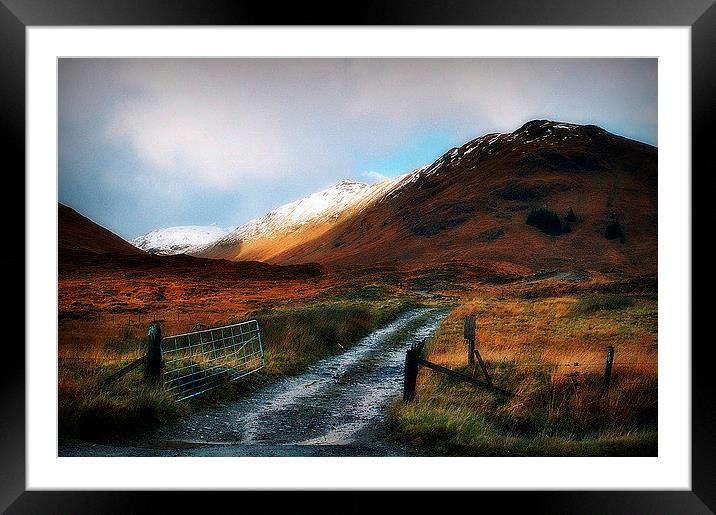 highland color Framed Mounted Print by dale rys (LP)