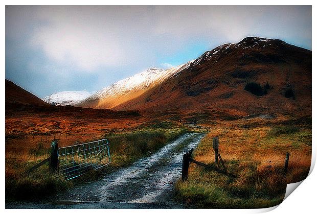 highland color Print by dale rys (LP)