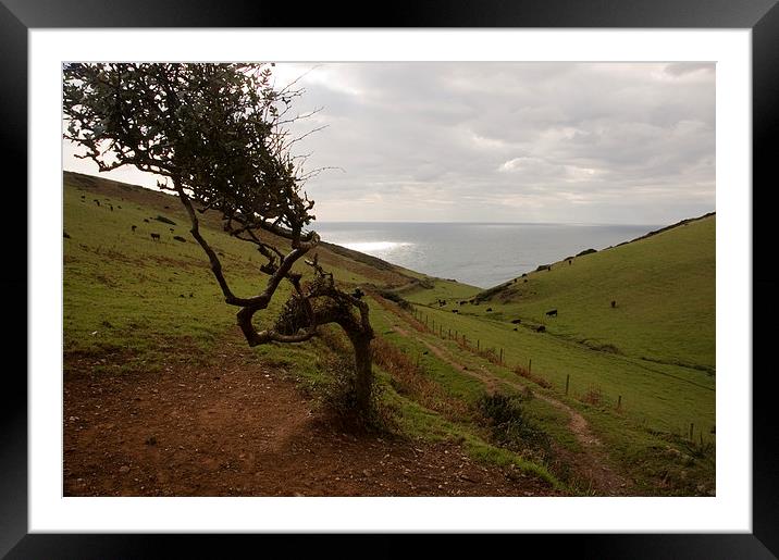 Valley down to the sea, Start Point, Devon Framed Mounted Print by Simon Armstrong