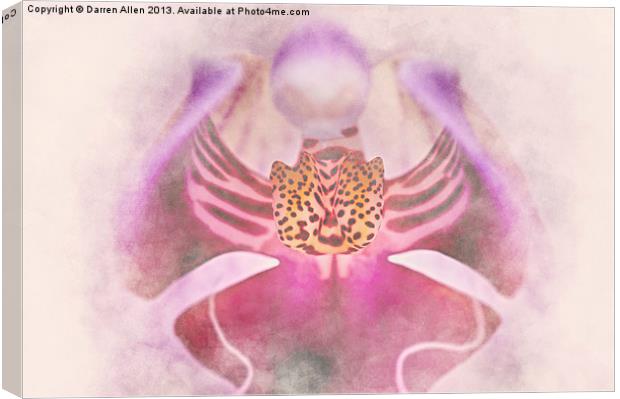 Orchid Canvas Print by Darren Allen