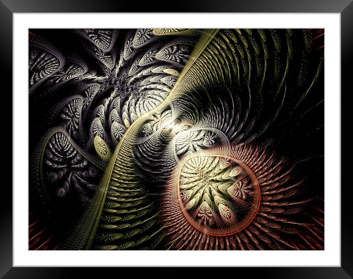 Trilobite Trail Framed Mounted Print by Anastasiya Malakhova