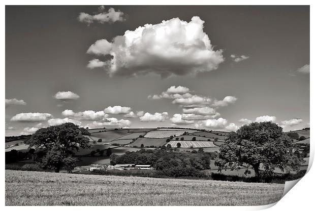 Yarde downs - Bradninch Print by Pete Hemington