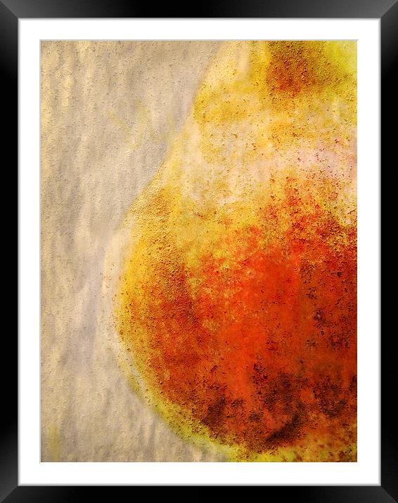 Pear Framed Mounted Print by Mary Lane