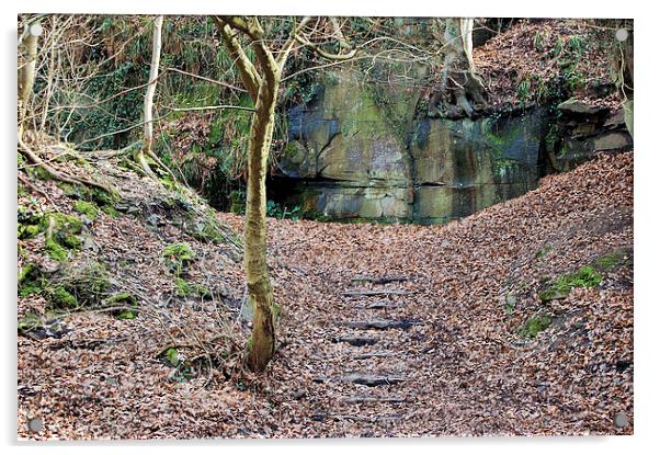 Woodland area Acrylic by Maria Carter