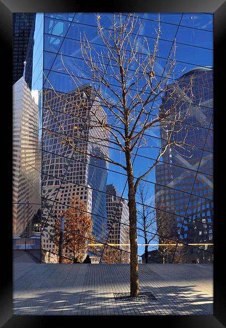 Mirrored  skyscrapers in New York - Ground Zero Framed Print by Maria Carter