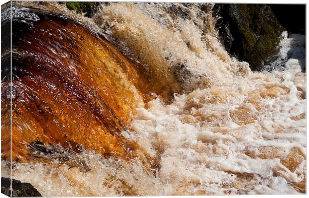 Raging river Lake District Canvas Print by Maria Carter
