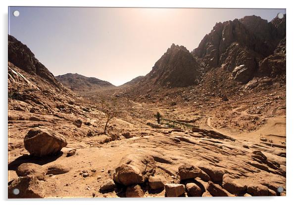 JST2100 Sinai desert Acrylic by Jim Tampin