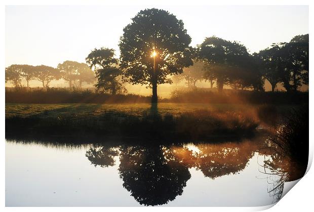 Oak tree in the mist Print by Andrew chittock
