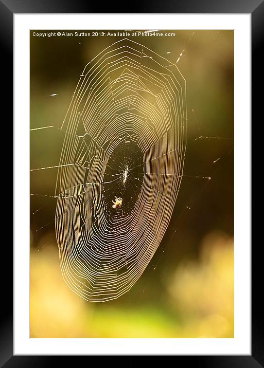 Building a web site ! Framed Mounted Print by Alan Sutton
