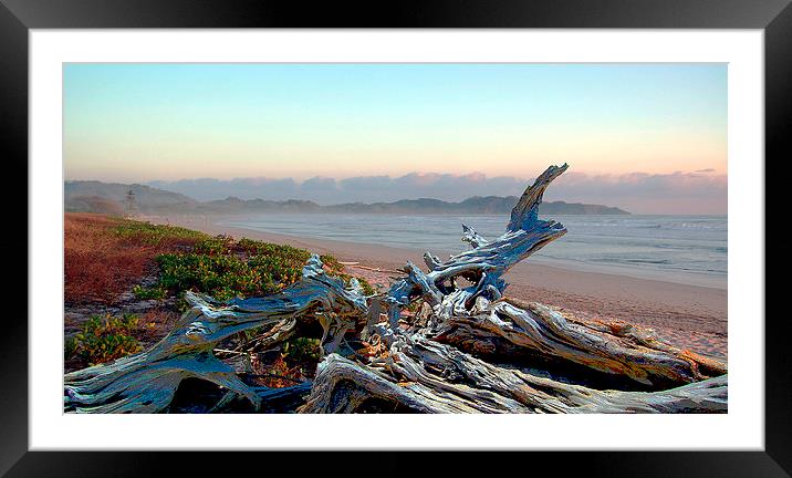 Driftwood on the Beach Framed Mounted Print by james balzano, jr.